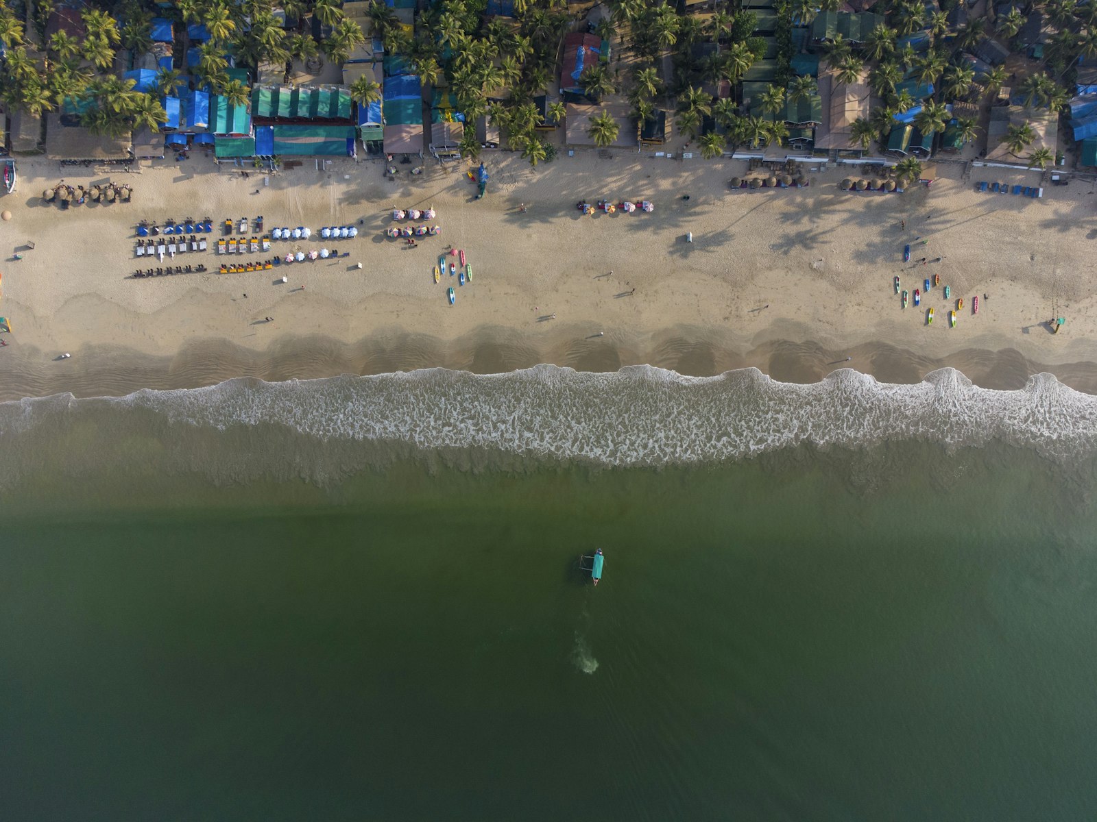 Aerial view of a palm-fringed South Goa beach lined with shacks