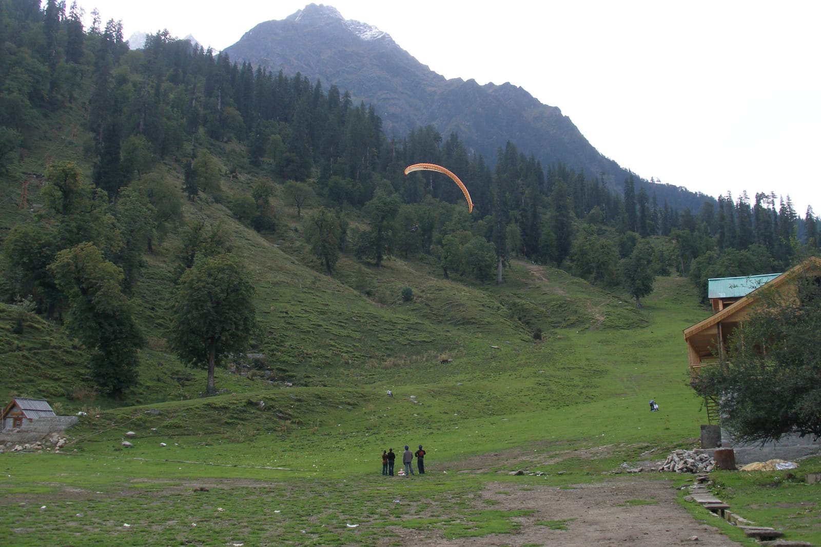 A paraglider over the green meadow at Solang Valley near Manali, with forested ridges behind