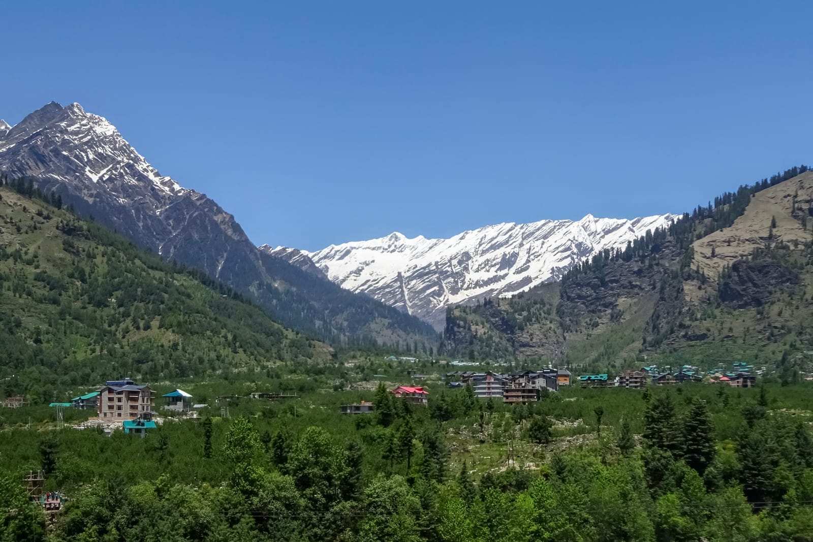 The Kullu valley at Manali, with the town below forested slopes and snow-capped Himalayan peaks behind