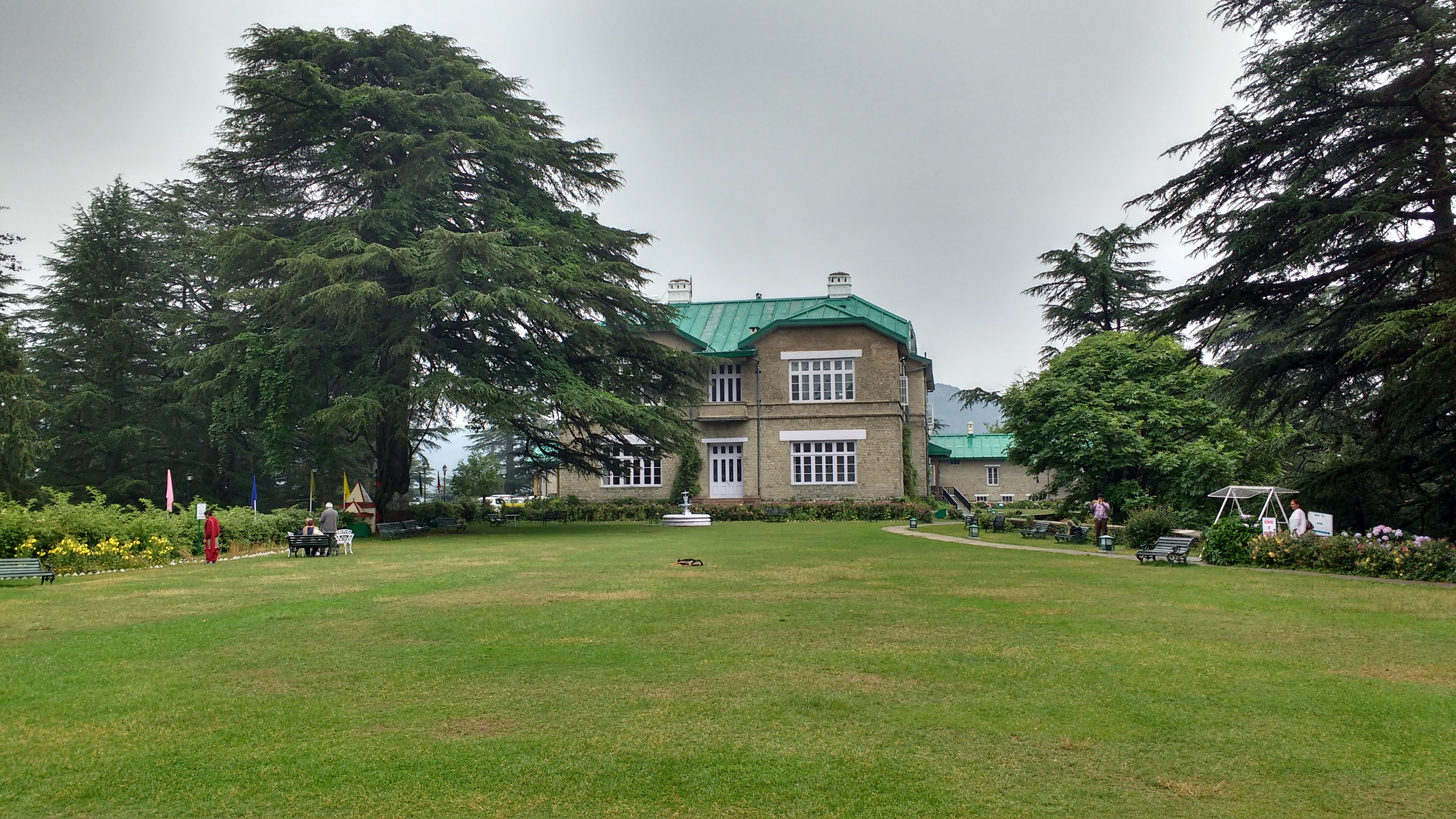 Chail Palace, a stone building with a green roof, seen across a wide lawn framed by tall deodar cedars